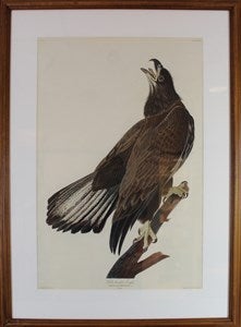 Image description is not available for DU1986.2